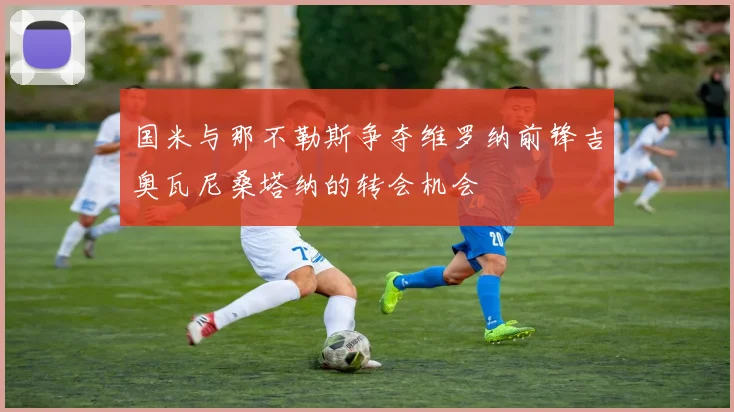 国米与那不勒斯争夺维罗纳前锋吉奥瓦尼桑塔纳的转会机会