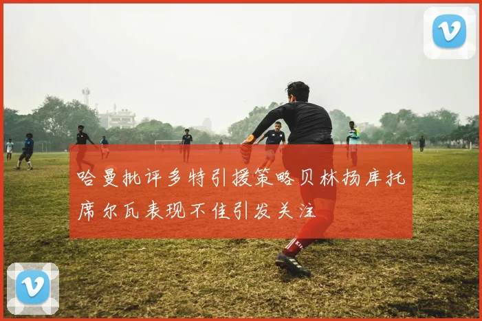 哈曼批评多特引援策略贝林扬库托席尔瓦表现不佳引发关注