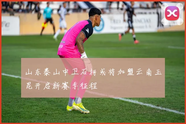 山东泰山中卫石柯或将加盟云南玉昆开启新赛季征程