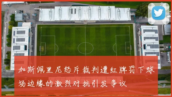 加斯佩里尼怒斥裁判遭红牌罚下球场边缘的激烈对抗引发争议